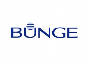 5 - Bunge